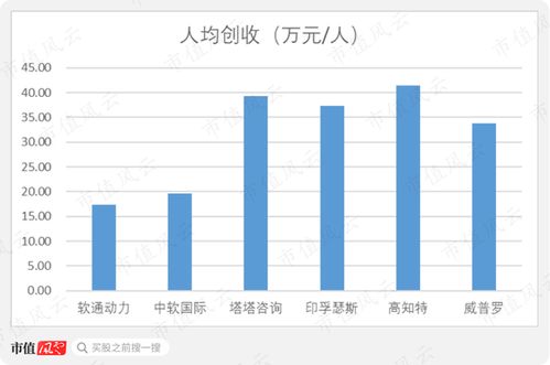 軟通動力 私有化后的曲折上市路，軟件外包巨頭能否借注冊制圓夢？